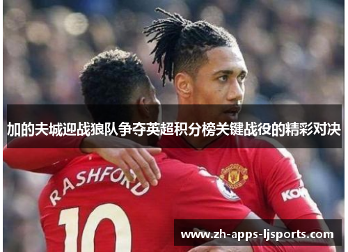 加的夫城迎战狼队争夺英超积分榜关键战役的精彩对决