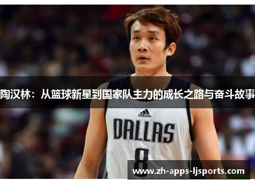 陶汉林：从篮球新星到国家队主力的成长之路与奋斗故事